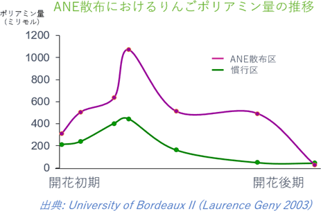 果実サイズの均一化、品質改善の作用