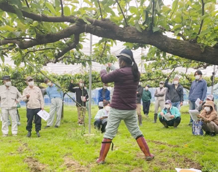 神奈川県 「梨園/天敵資材を利用した難防除ハダニ対策」　～普及活動を通じて～