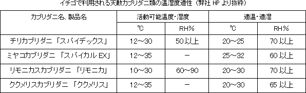 ＜フィールドアドバイザーの声＞イチゴ栽培でのカブリダニ利用と温湿度管理