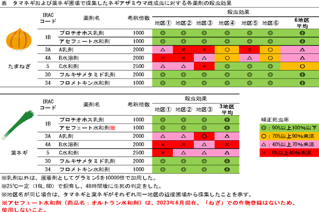 タマネギ・葉ネギにおけるネギアザミウマに対する各種薬剤の殺虫効果