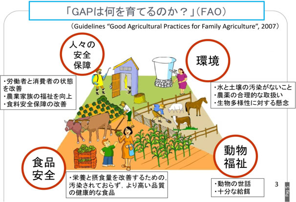 ＜普及員の声＞「IPMとGAPの親和性～持続可能な農業経営を目指して～」